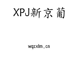XPJ新京葡